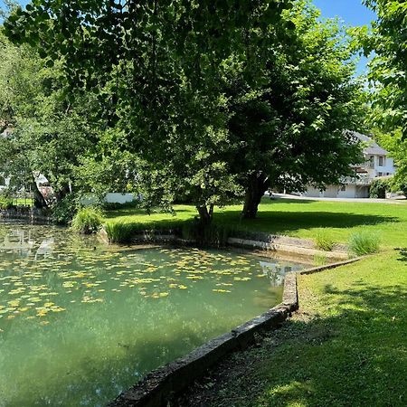 Les Lodges Du Lac Saint-Alban-de-Montbel المظهر الخارجي الصورة